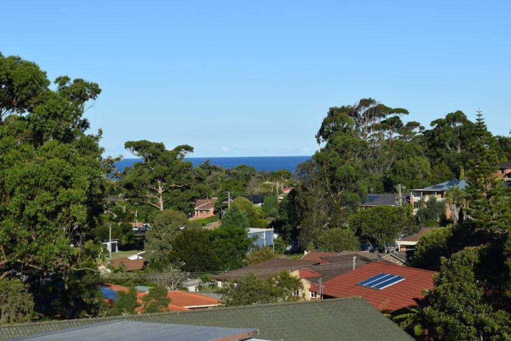 Mollymook Caravan Park Экстерьер фото