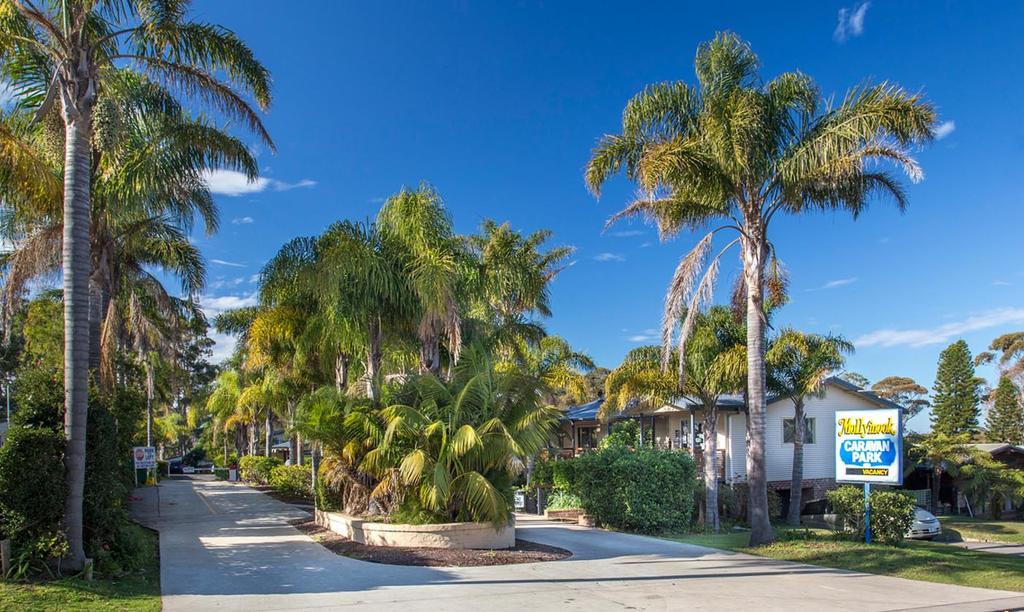 Mollymook Caravan Park Экстерьер фото