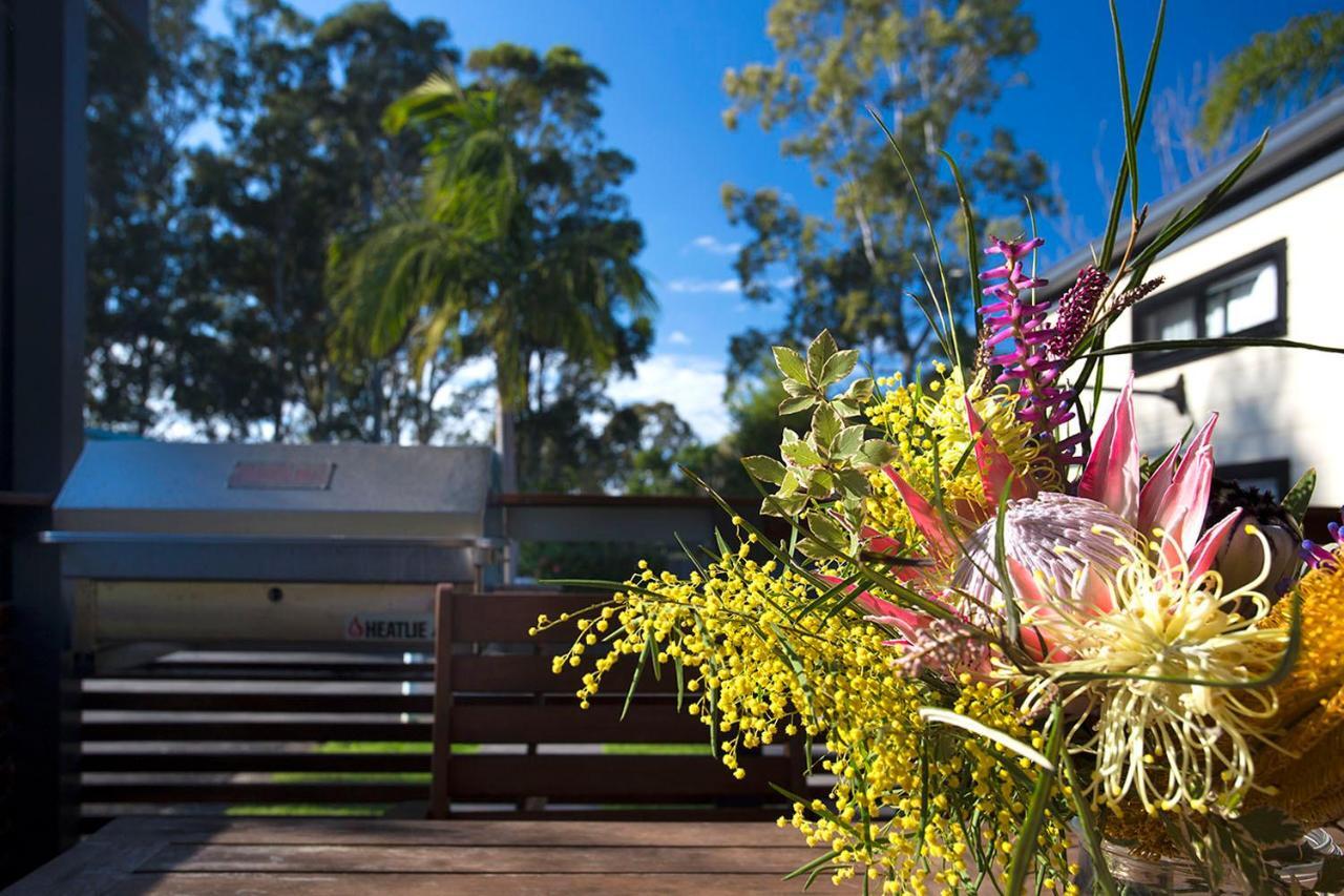 Mollymook Caravan Park Экстерьер фото